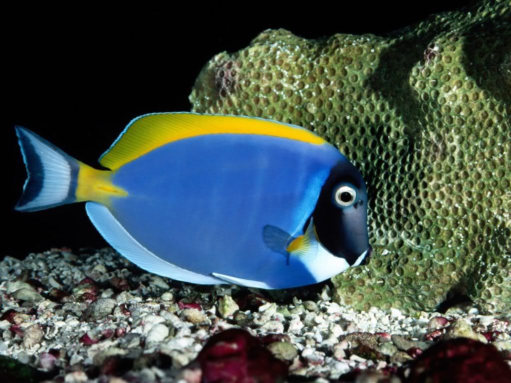 animal_0107.jpg