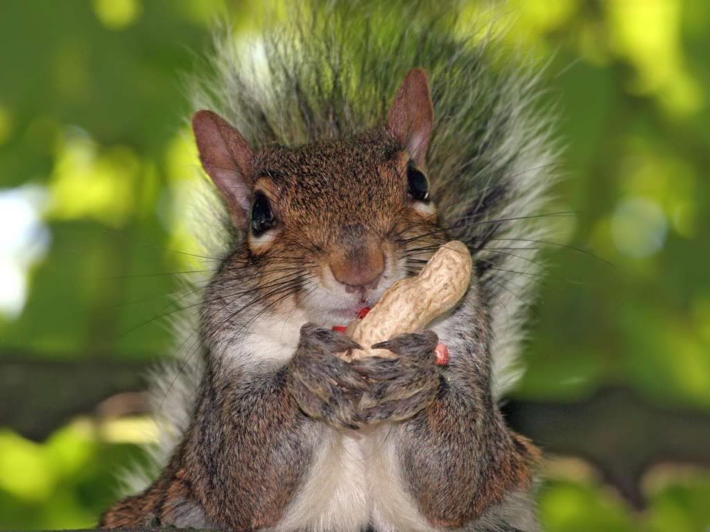 animal_0122.jpg