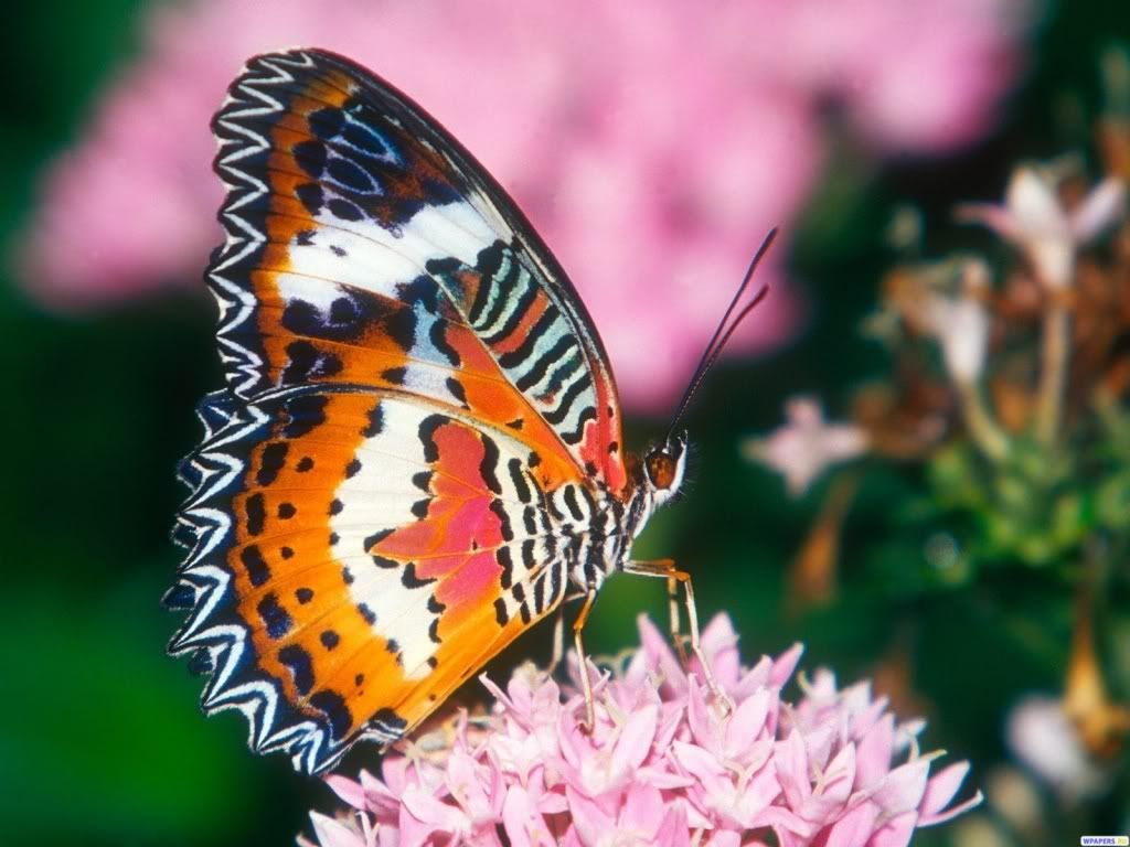 0216-1600x1200.jpg