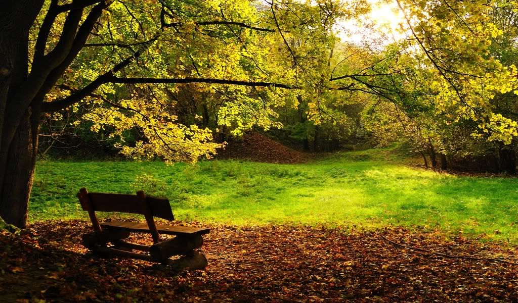 autumnbench10246004459.jpg