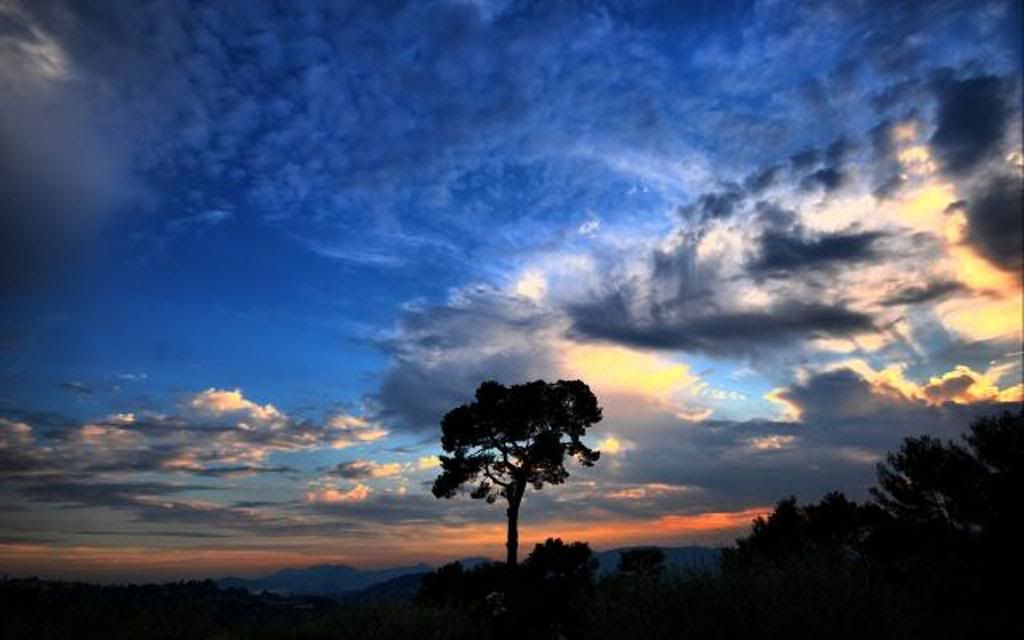 beautiful_sky_1920x1200.jpg
