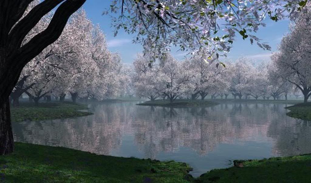 beautiful_spring_lake_1920x1200.jpg