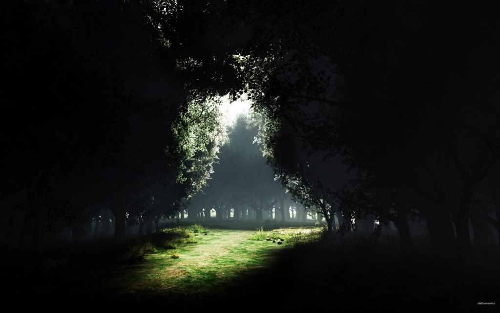 dark_forest_1920x1200.jpg
