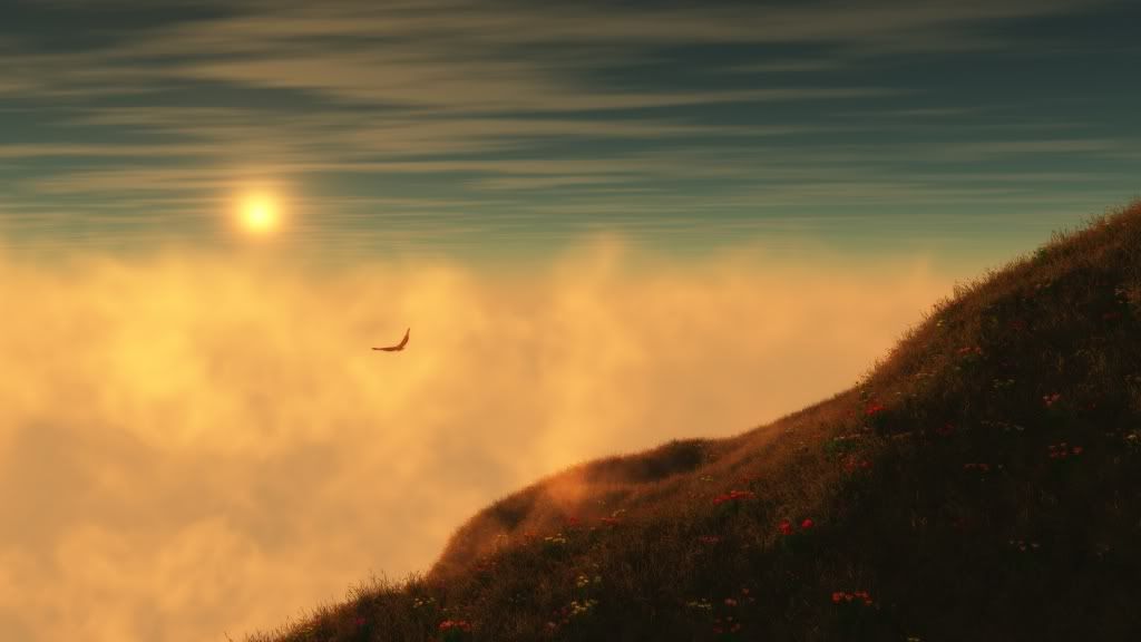 wallpaper_1080p_40-1920x1080.jpg