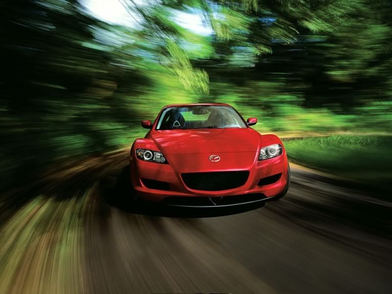 cars_13.jpg