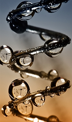 cf7b6561.png