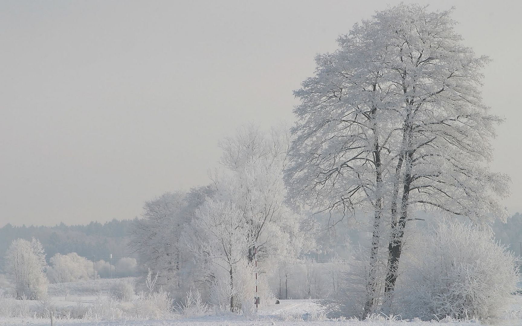 SuperPack_Beautiful_Nature_HD_Wallpapers_Part_19827.jpg