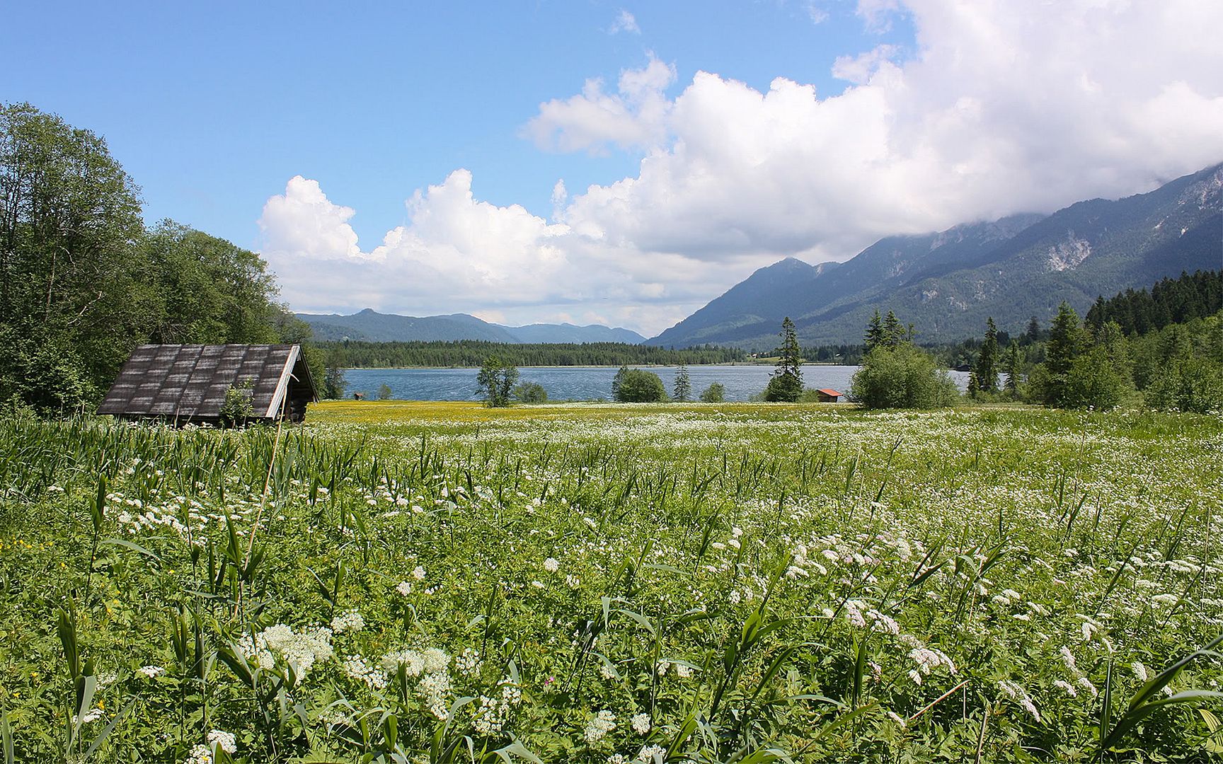 SuperPack_Beautiful_Nature_HD_Wallpapers_Part_19828.jpg