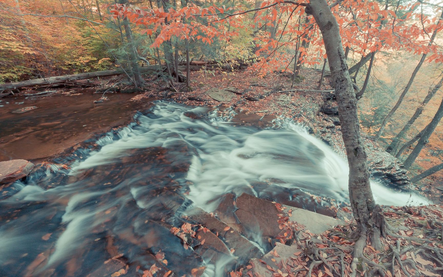SuperPack_Beautiful_Nature_HD_Wallpapers_Part_19829.jpg