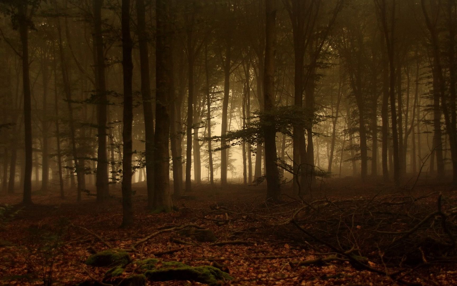 SuperPack_Beautiful_Nature_HD_Wallpapers_Part_19832.jpg