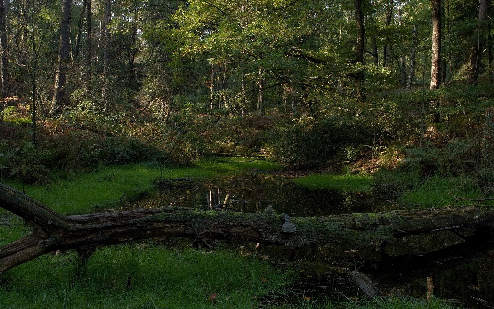 SuperPack_Beautiful_Nature_HD_Wallpapers_Part_19834.jpg