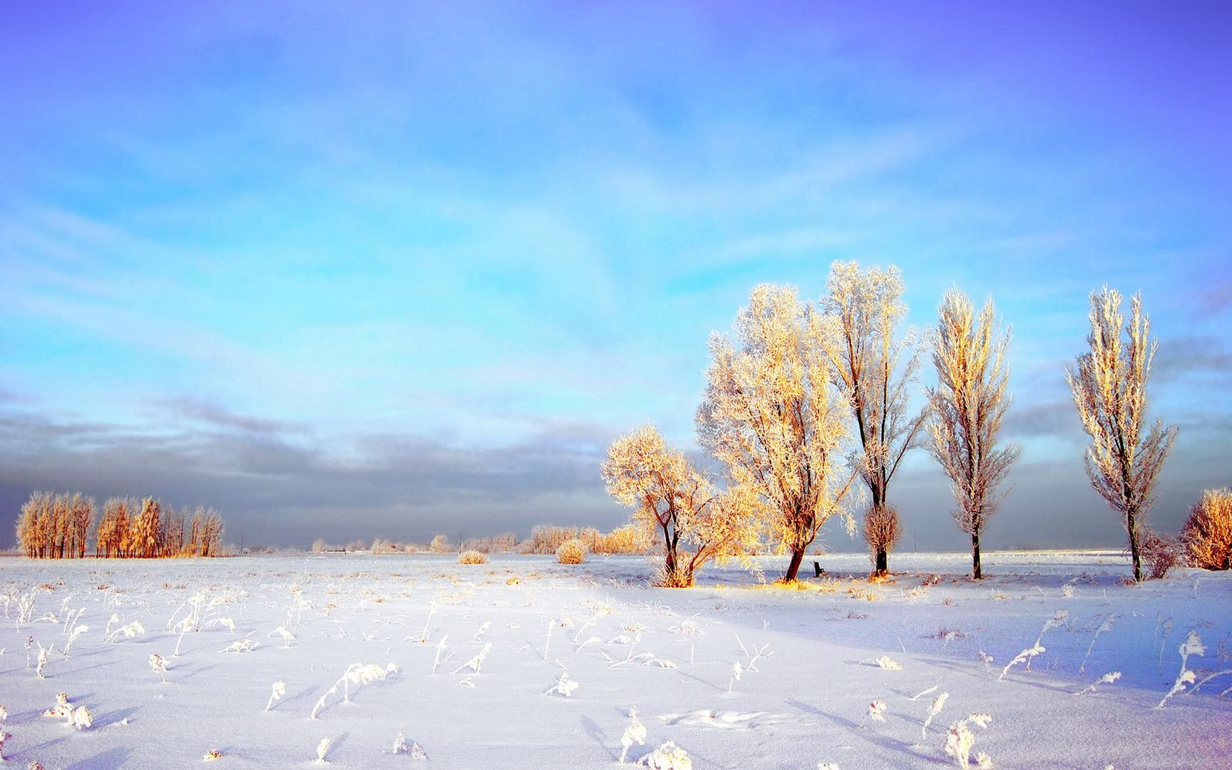 SuperPack_Beautiful_Nature_HD_Wallpapers_Part_19836.jpg
