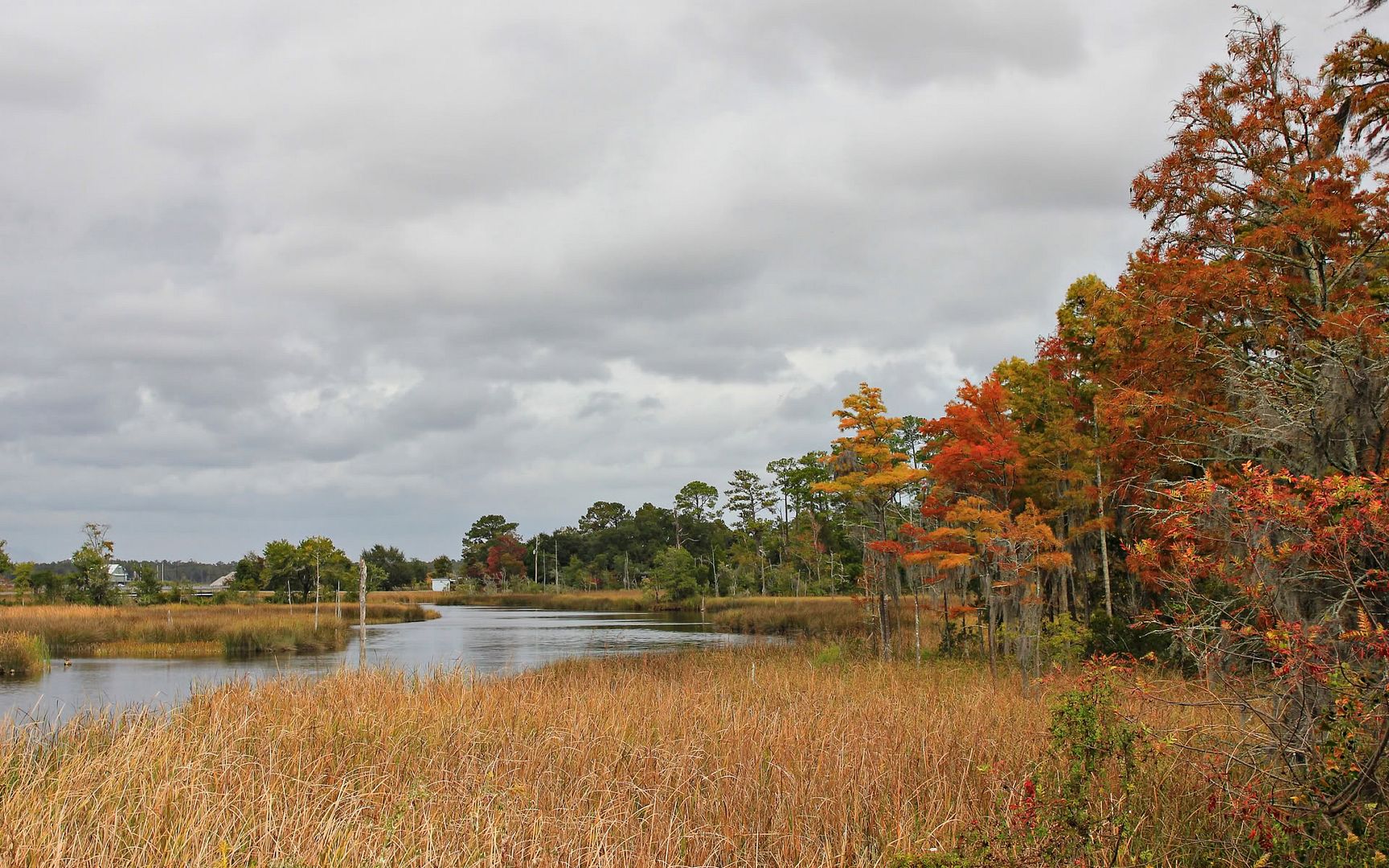 SuperPack_Beautiful_Nature_HD_Wallpapers_Part_19838.jpg