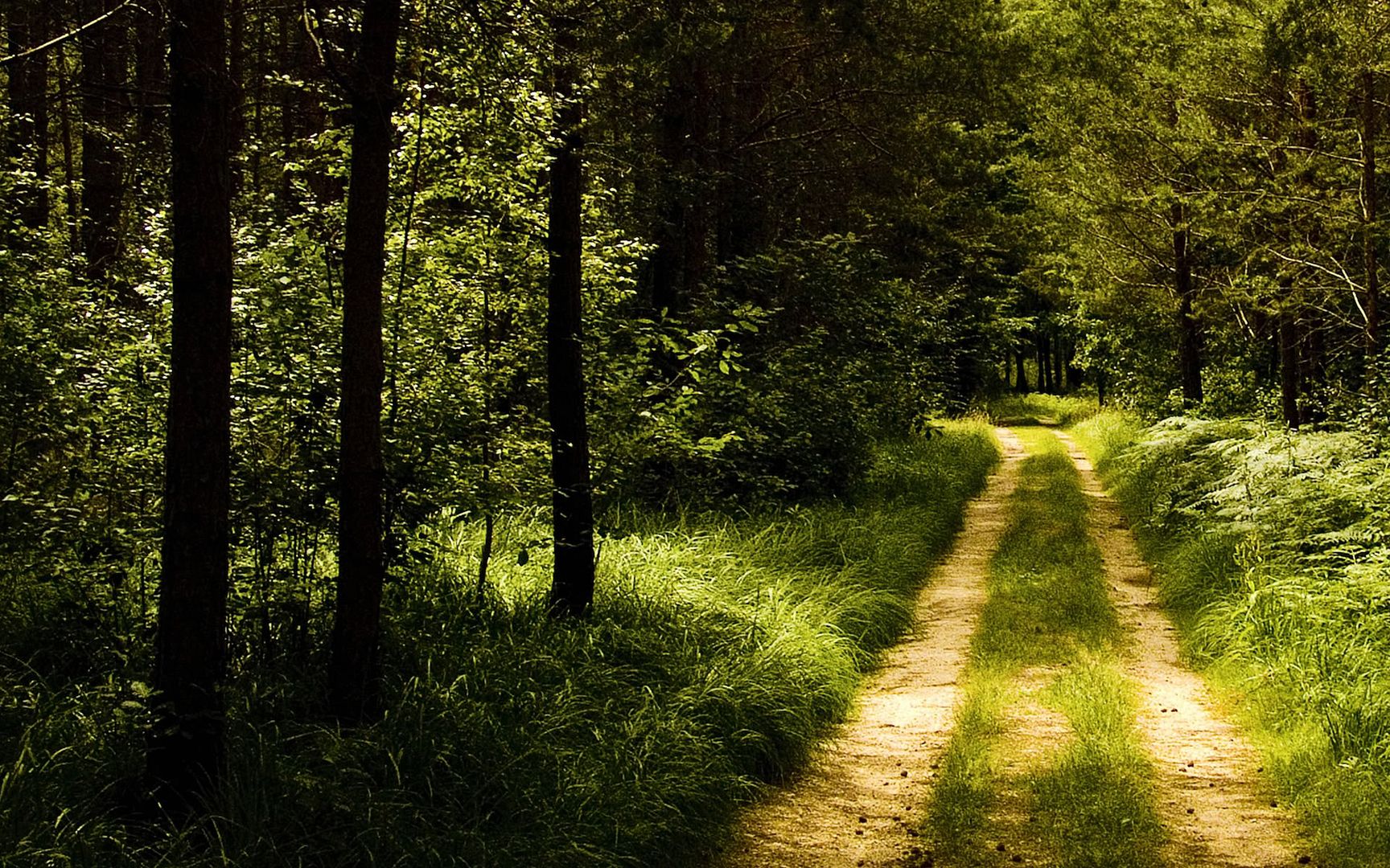 SuperPack_Beautiful_Nature_HD_Wallpapers_Part_19839.jpg