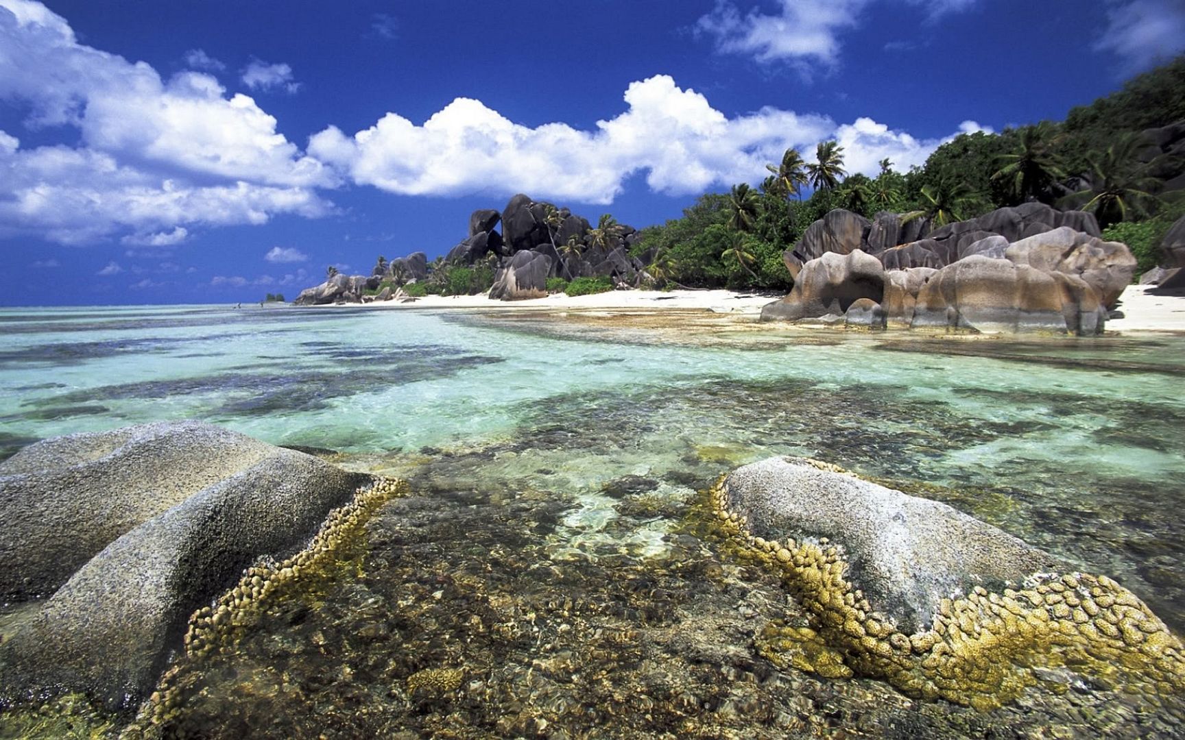 SuperPack_Beautiful_Nature_HD_Wallpapers_Part_19854.jpg