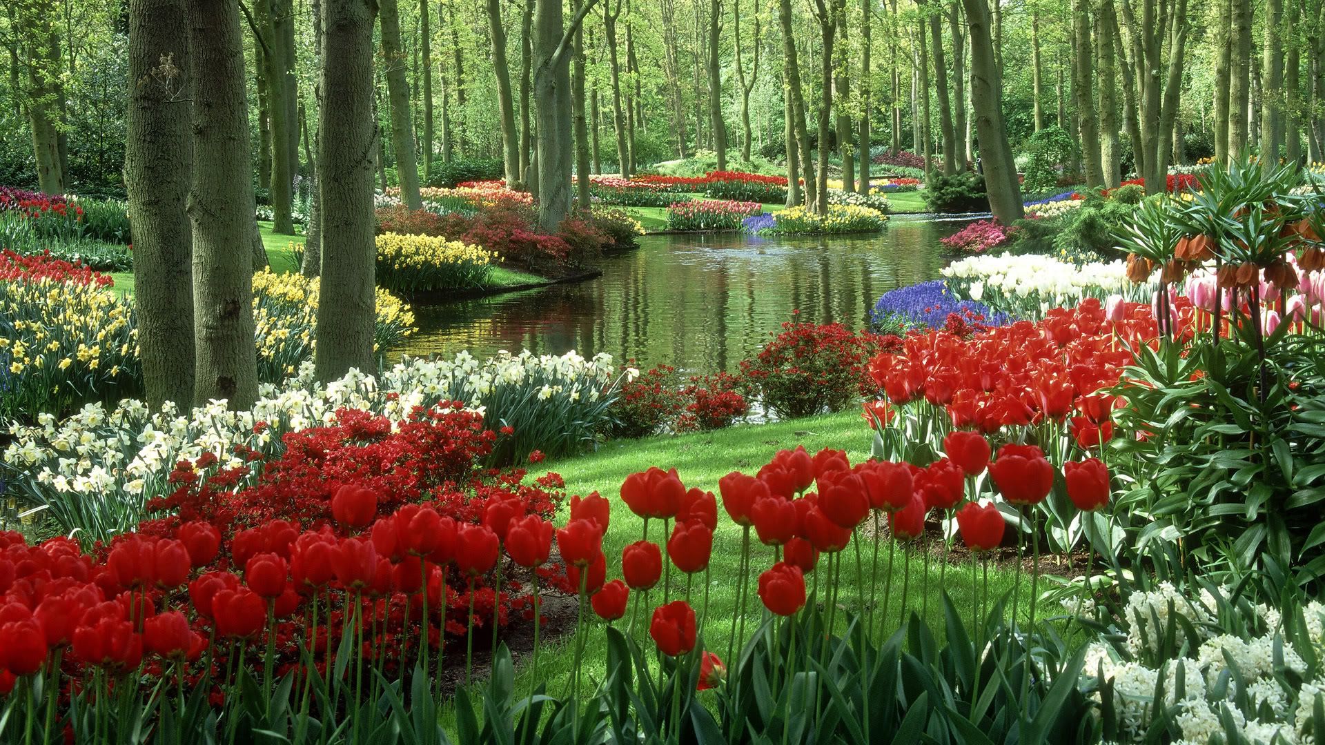 SuperPack_Beautiful_Nature_HD_Wallpapers_Part_19856.jpg