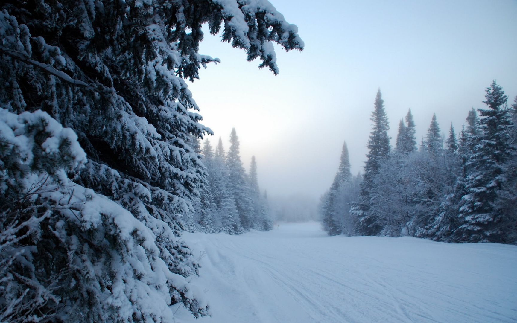 SuperPack_Beautiful_Nature_HD_Wallpapers_Part_19859.jpg