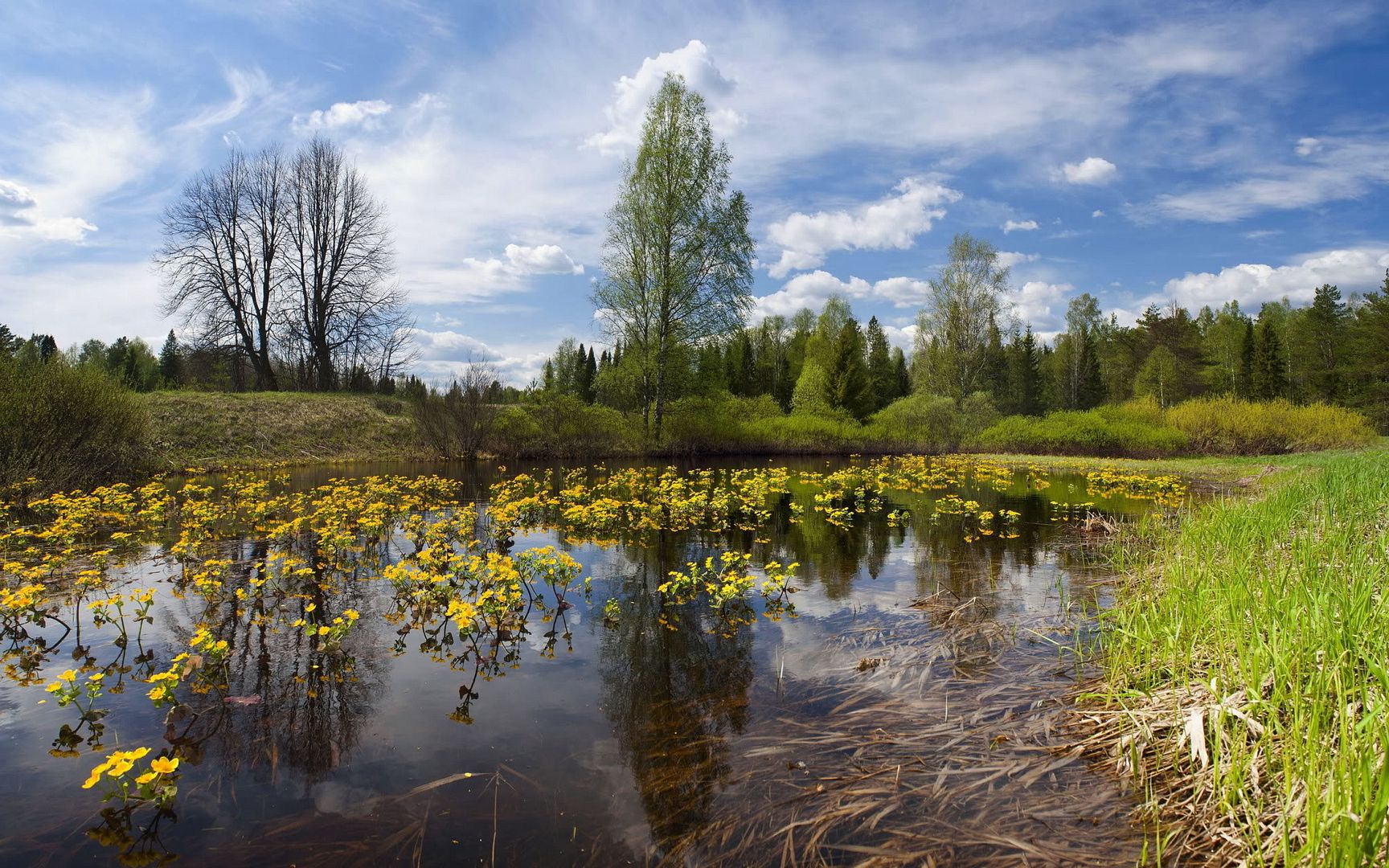 SuperPack_Beautiful_Nature_HD_Wallpapers_Part_19861.jpg