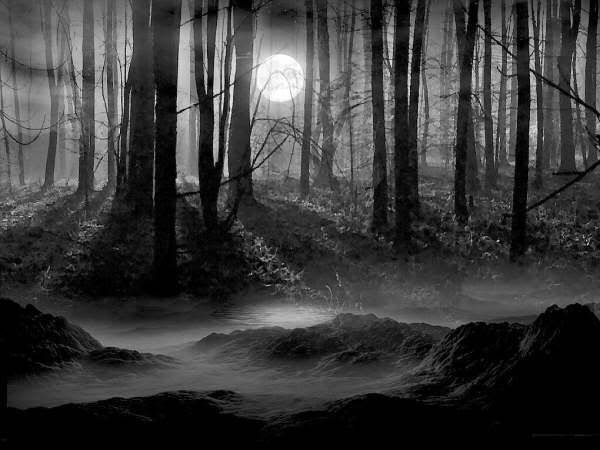 darklandscape.jpg