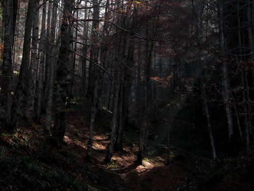 landscape-29.jpg