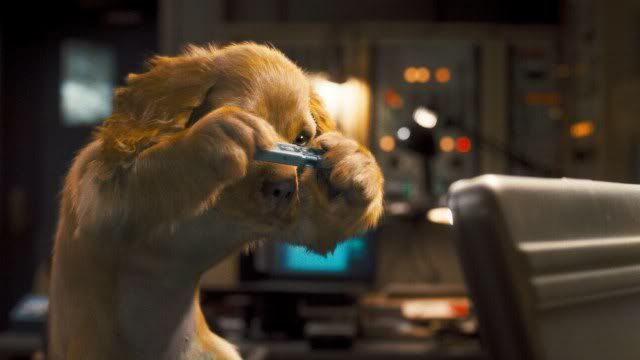 dog-wallpaper-preview-7.jpg