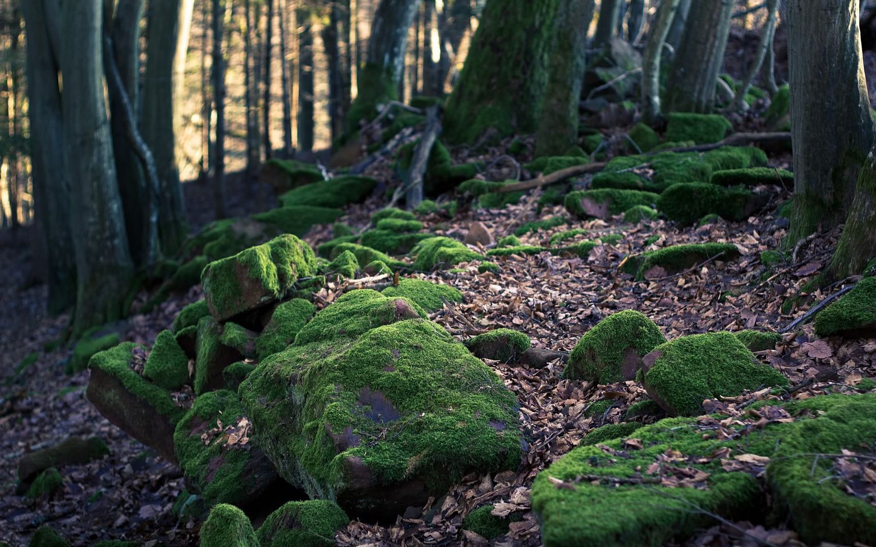 e5a0f554.jpg