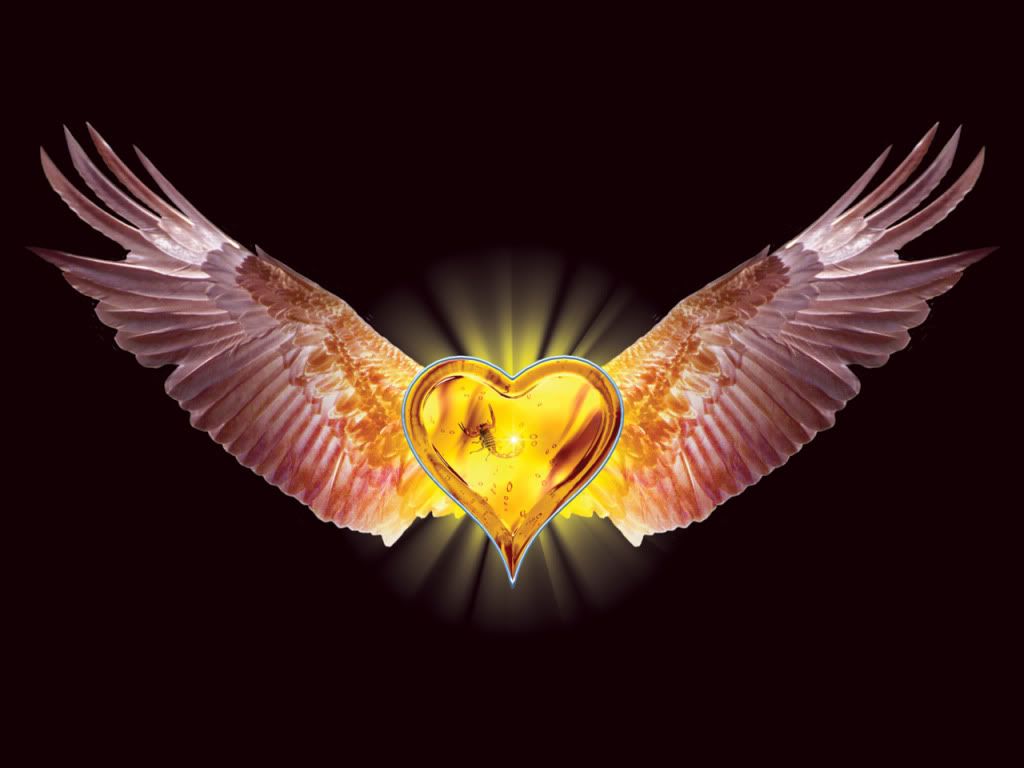 eagle-heart_1280_x_960.jpg