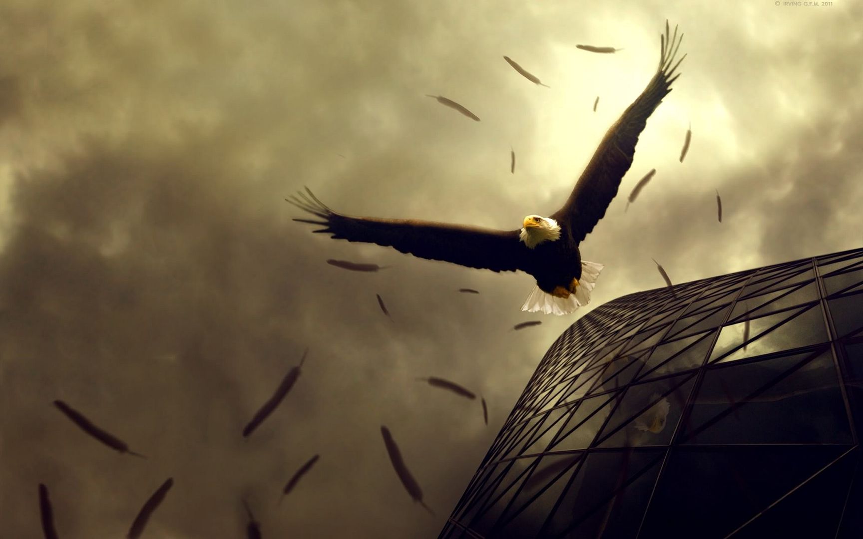 eagle_flight-2560x1600.jpg