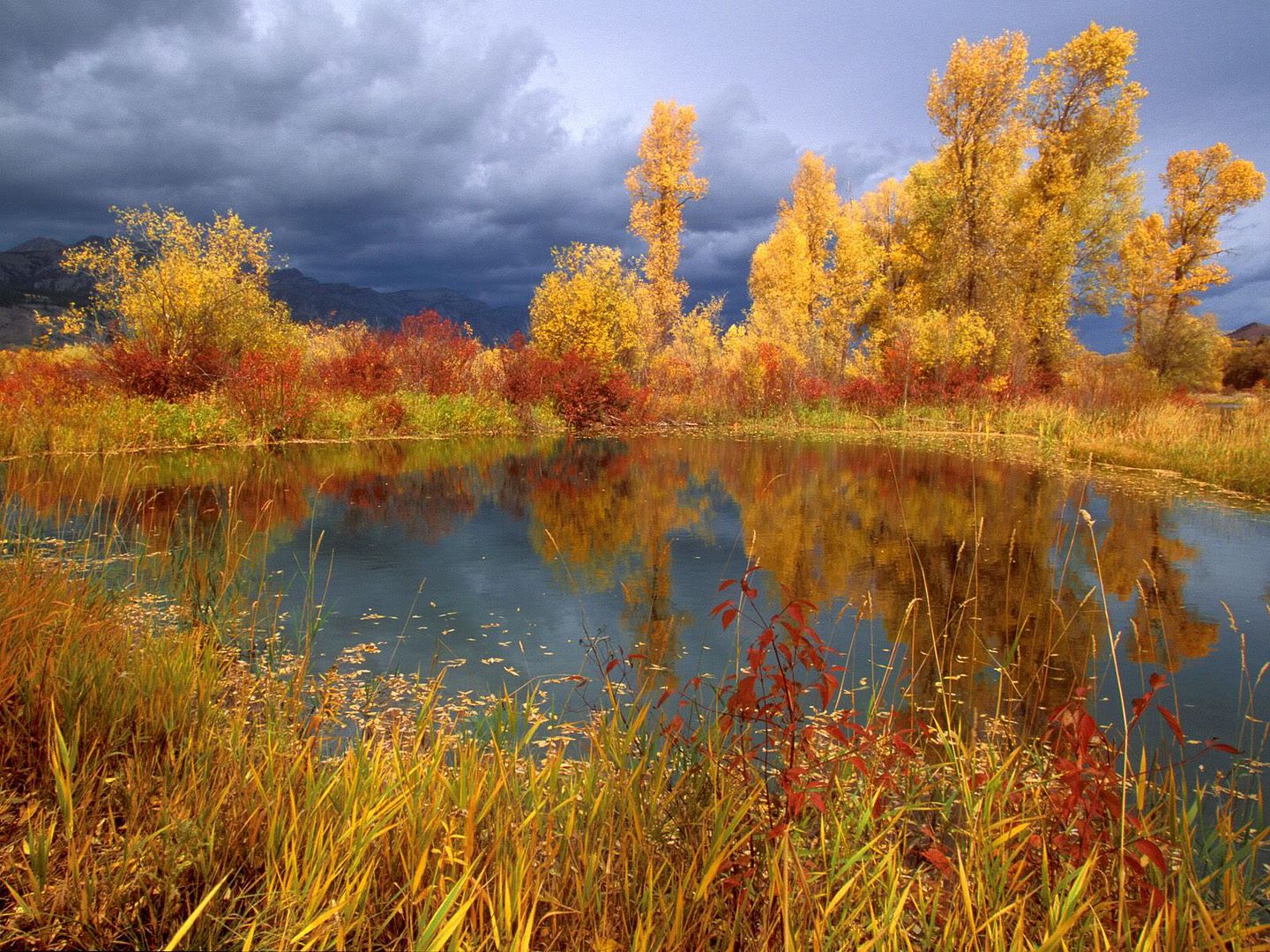 SuperPack_Beautiful_Nature_HD_Wallpapers_Part_1971.jpg