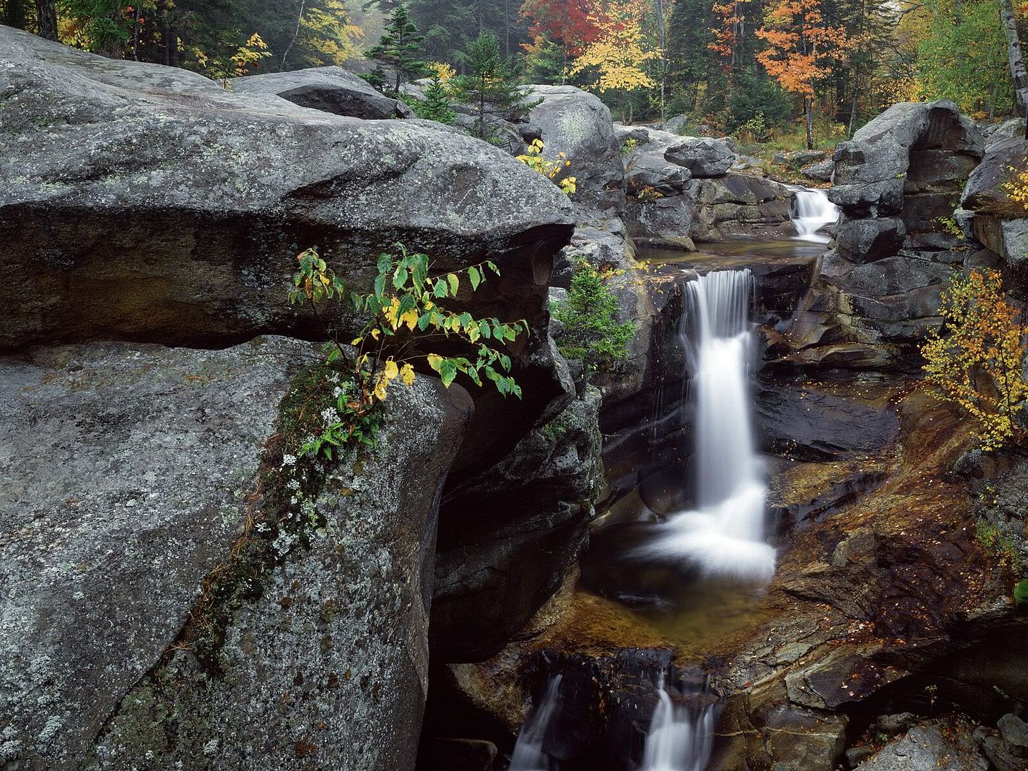 SuperPack_Beautiful_Nature_HD_Wallpapers_Part_19718.jpg