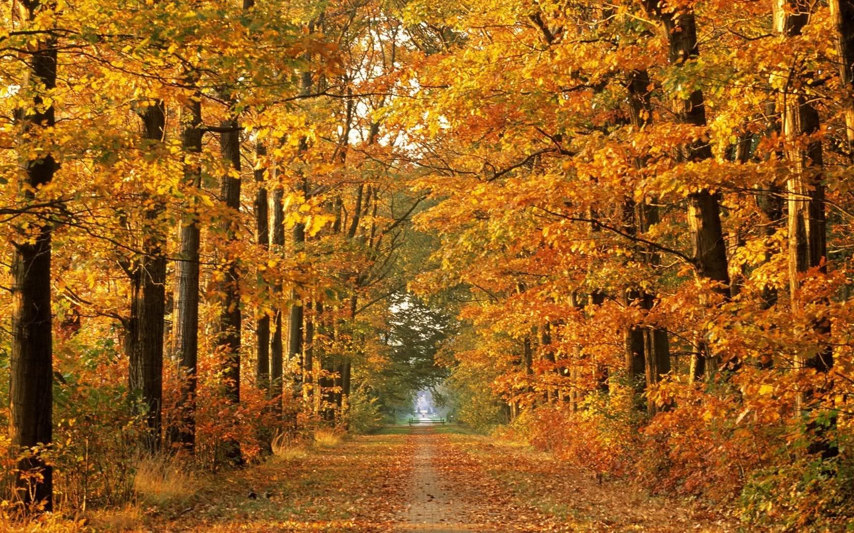 SuperPack_Beautiful_Nature_HD_Wallpapers_Part_19720.jpg