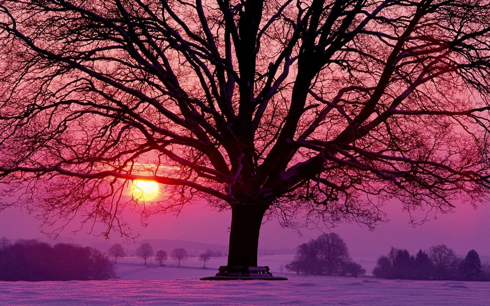 SuperPack_Beautiful_Nature_HD_Wallpapers_Part_19724.jpg