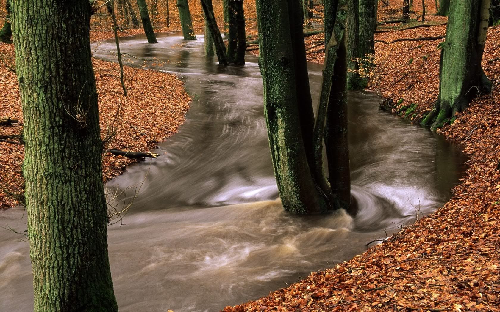 SuperPack_Beautiful_Nature_HD_Wallpapers_Part_19725.jpg