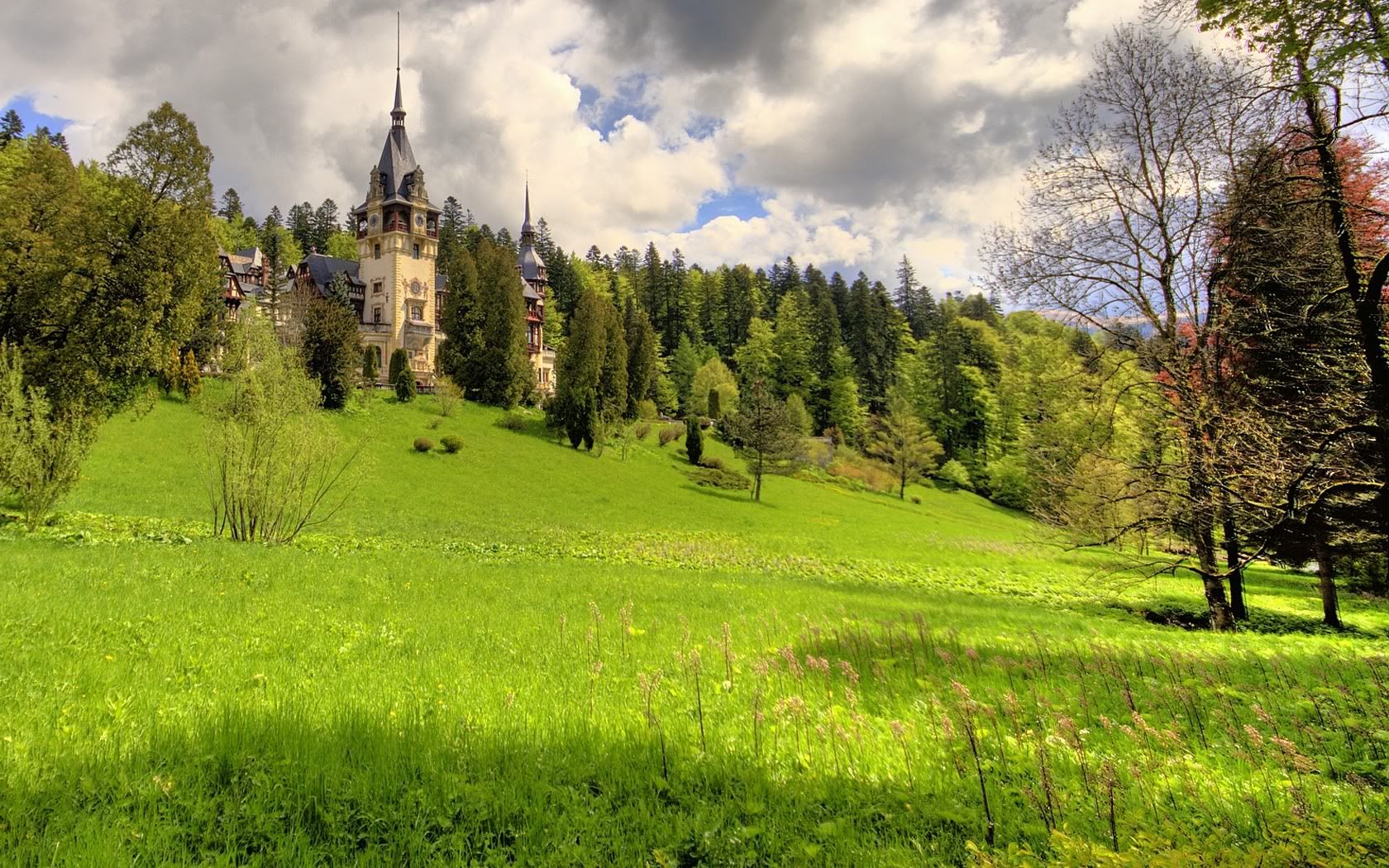 SuperPack_Beautiful_Nature_HD_Wallpapers_Part_19729.jpg