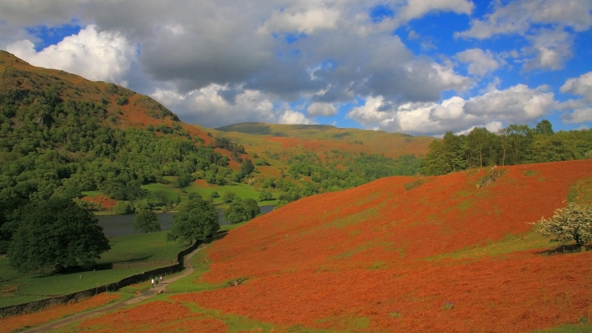 SuperPack_Beautiful_Nature_HD_Wallpapers_Part_19738.jpg