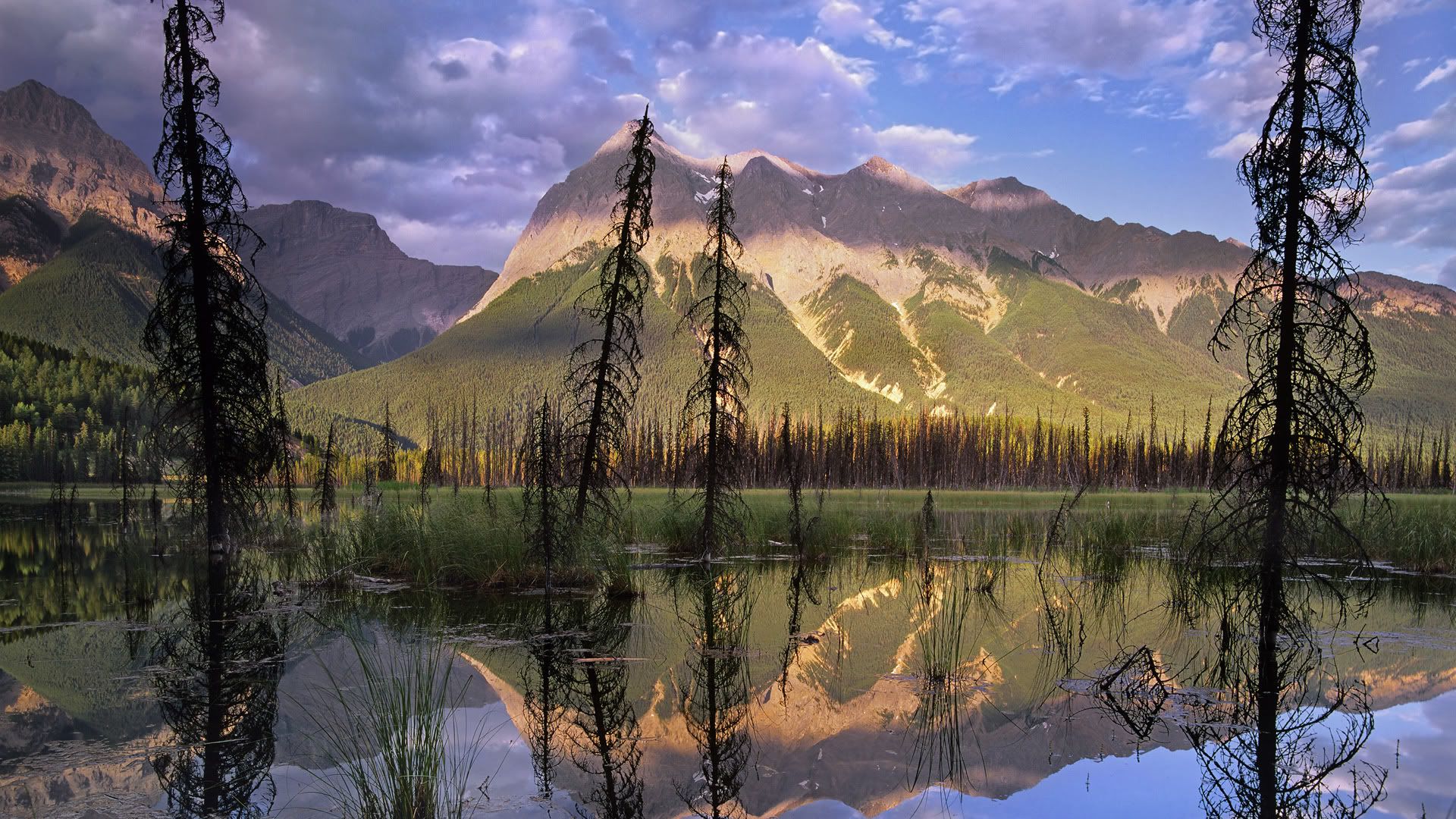 SuperPack_Beautiful_Nature_HD_Wallpapers_Part_19740.jpg