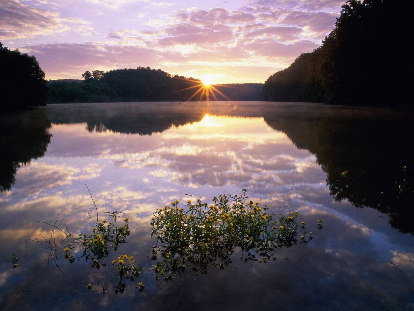 SuperPack_Beautiful_Nature_HD_Wallpapers_Part_1975.jpg