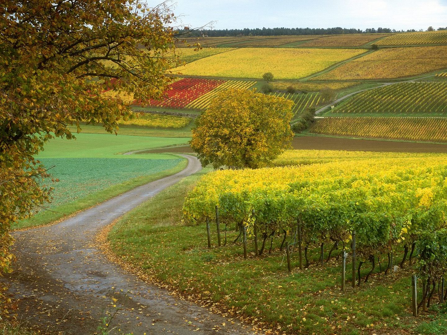 SuperPack_Beautiful_Nature_HD_Wallpapers_Part_1977.jpg