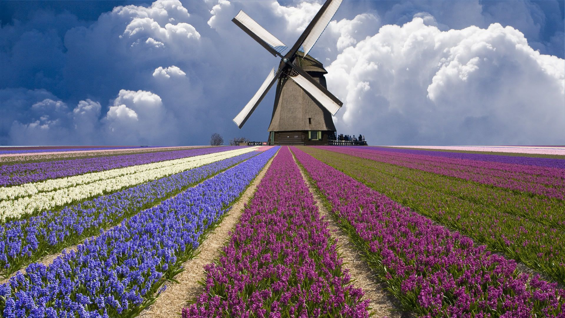 SuperPack_Beautiful_Nature_HD_Wallpapers_Part_19783.jpg