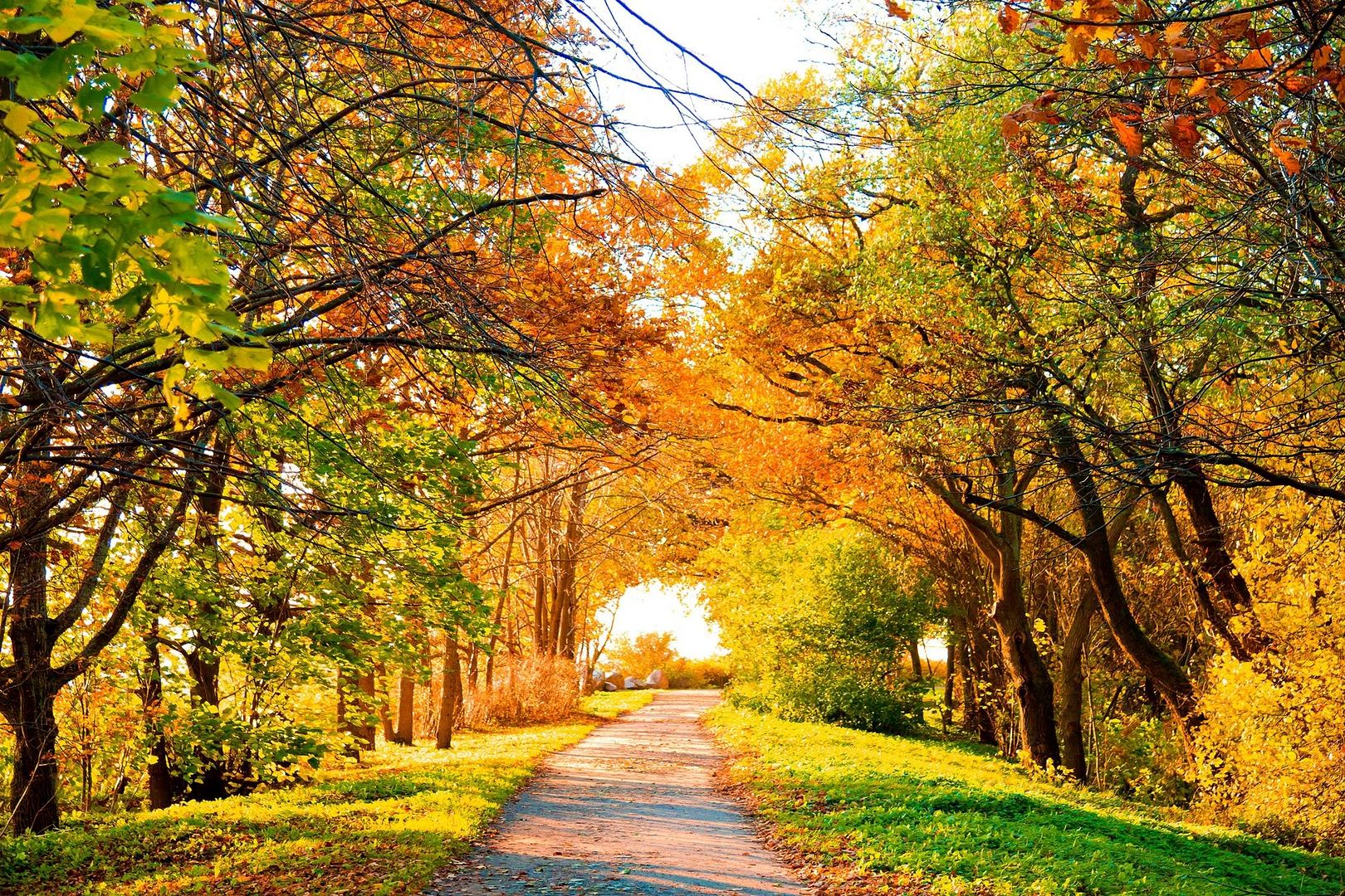 SuperPack_Beautiful_Nature_HD_Wallpapers_Part_19784.jpg