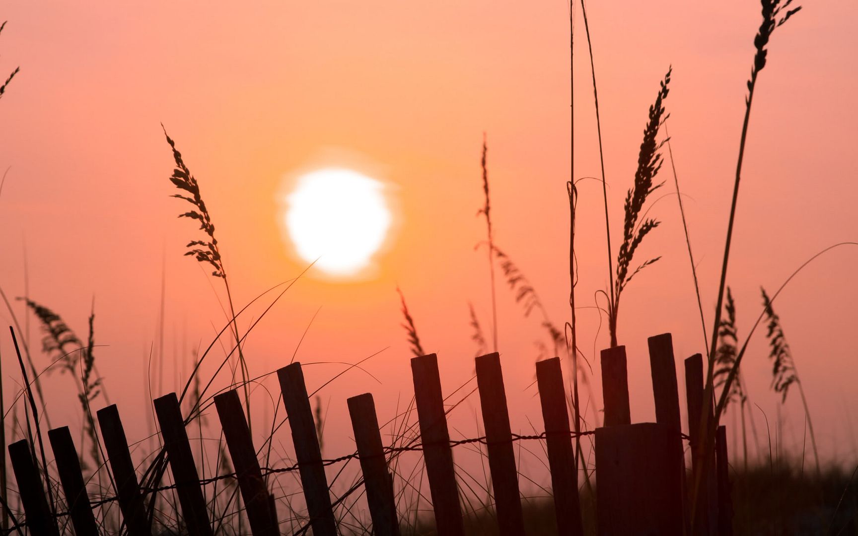 SuperPack_Beautiful_Nature_HD_Wallpapers_Part_19787.jpg