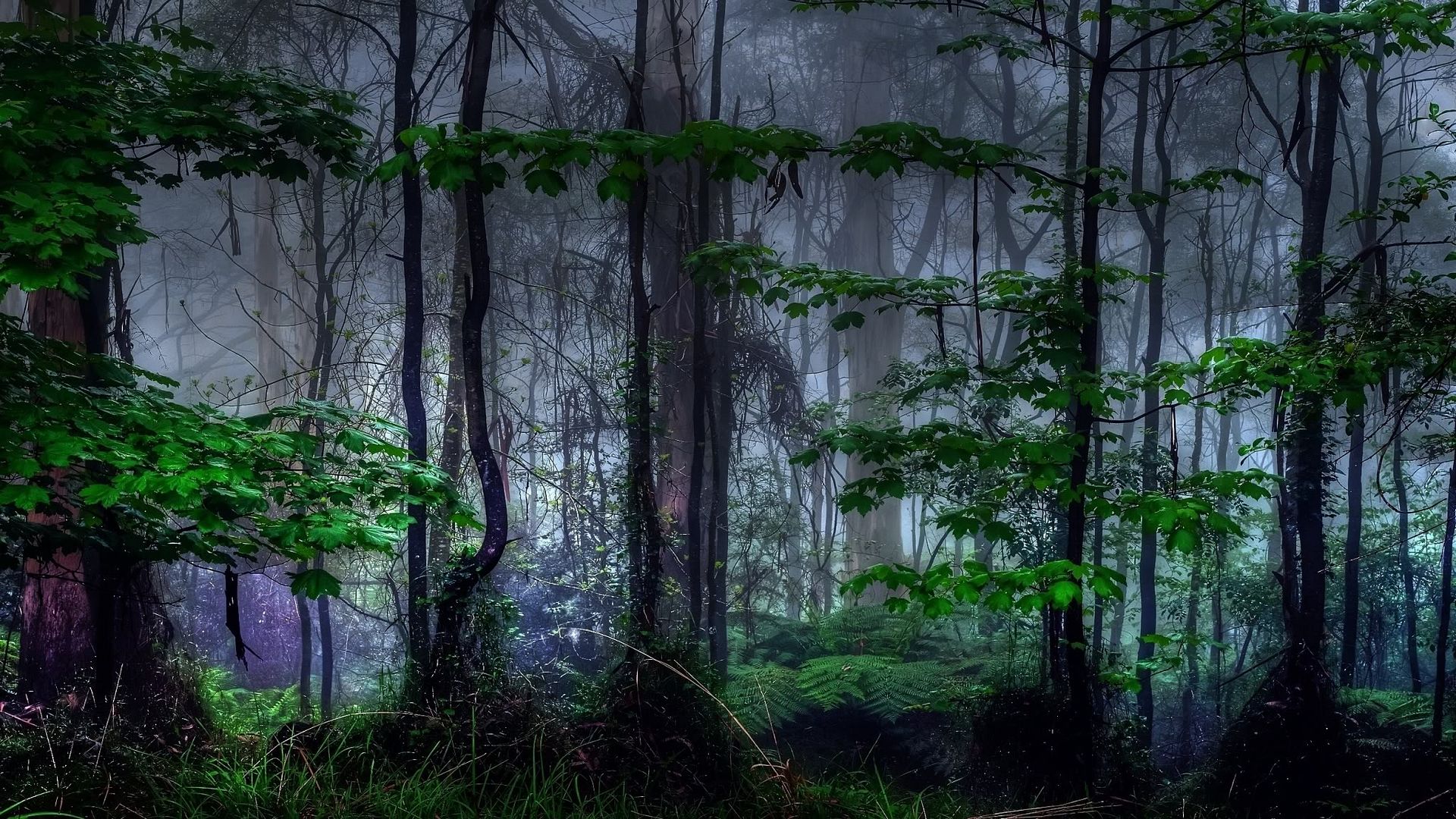 SuperPack_Beautiful_Nature_HD_Wallpapers_Part_19791.jpg