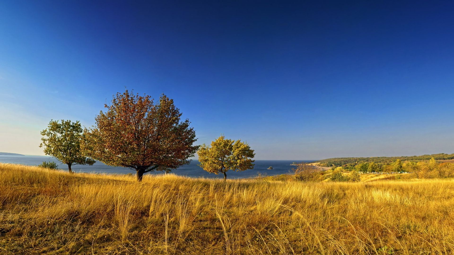 SuperPack_Beautiful_Nature_HD_Wallpapers_Part_19793.jpg