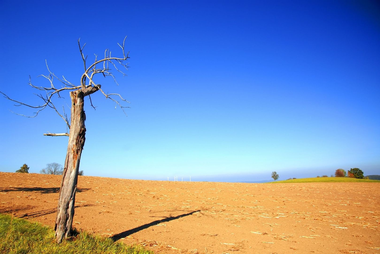 SuperPack_Beautiful_Nature_HD_Wallpapers_Part_19794.jpg