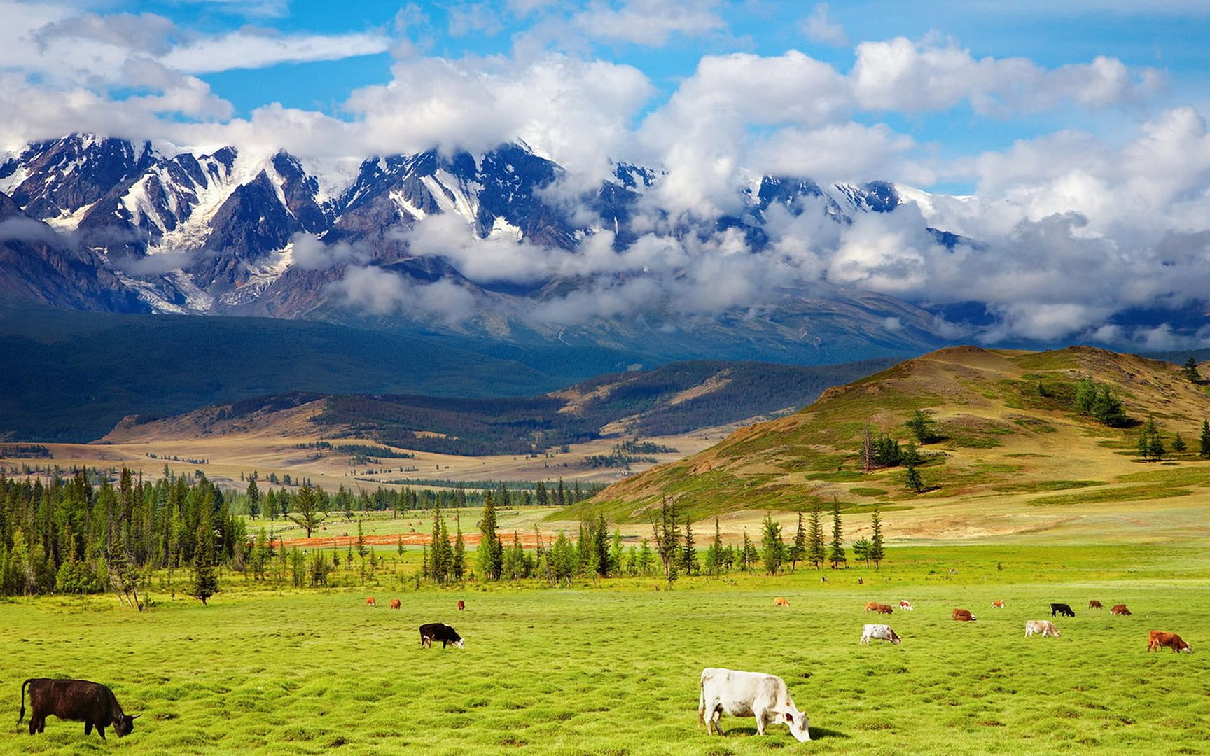 SuperPack_Beautiful_Nature_HD_Wallpapers_Part_19810.jpg