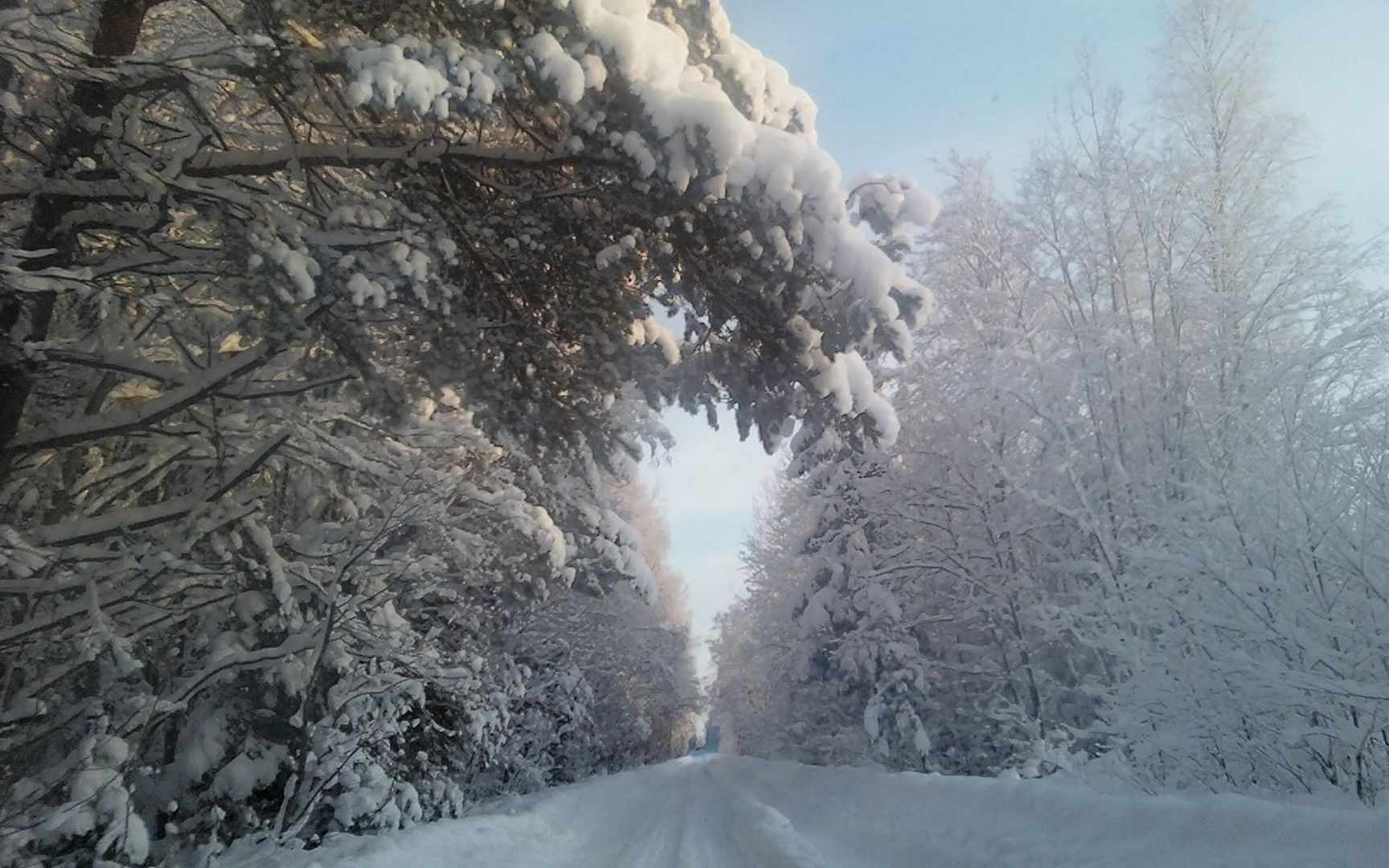 SuperPack_Beautiful_Nature_HD_Wallpapers_Part_19815.jpg