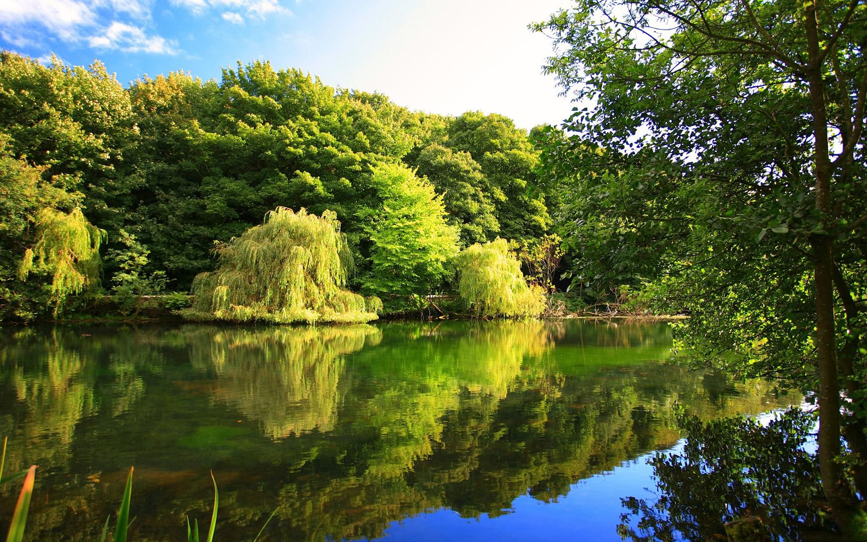 SuperPack_Beautiful_Nature_HD_Wallpapers_Part_19817.jpg