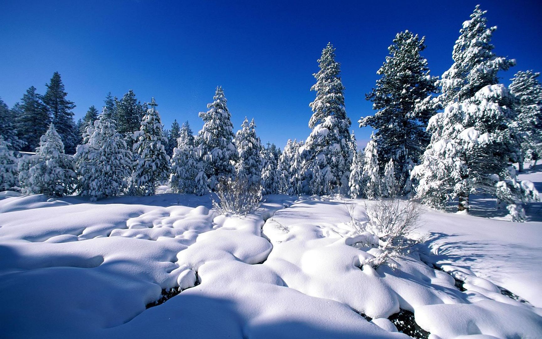 SuperPack_Beautiful_Nature_HD_Wallpapers_Part_19821.jpg