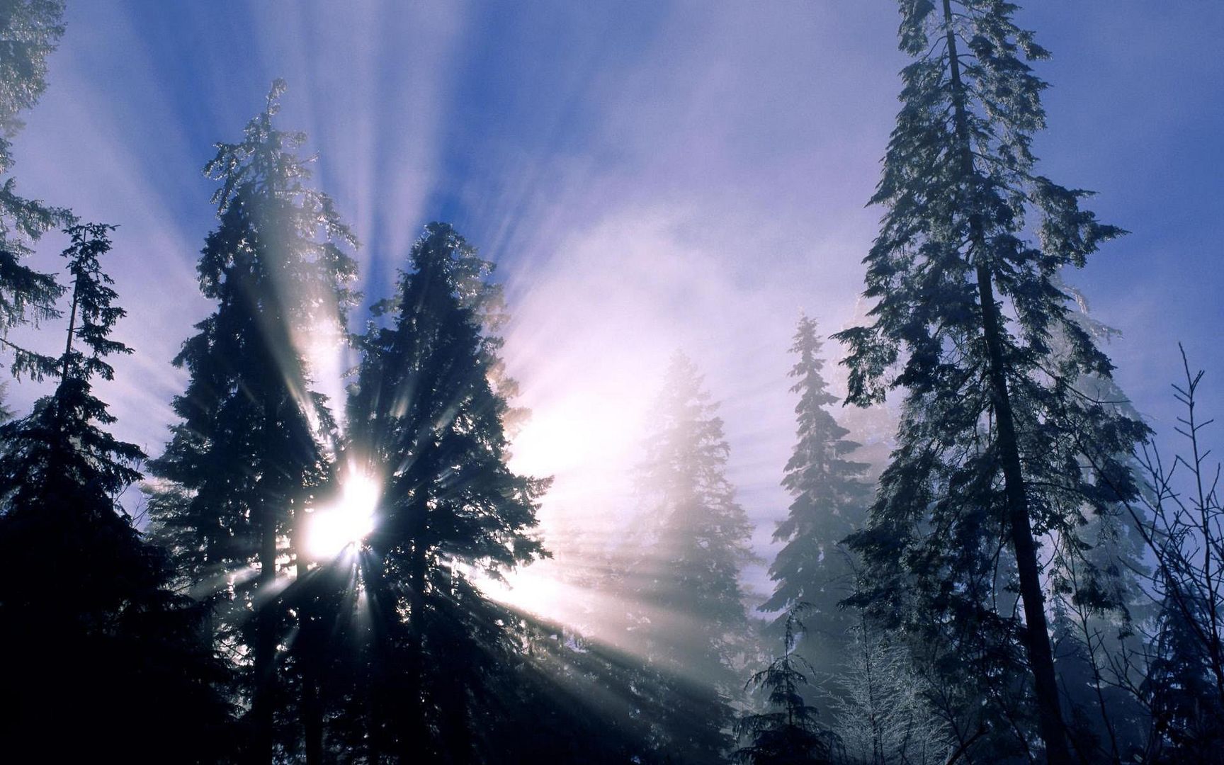 SuperPack_Beautiful_Nature_HD_Wallpapers_Part_19822.jpg