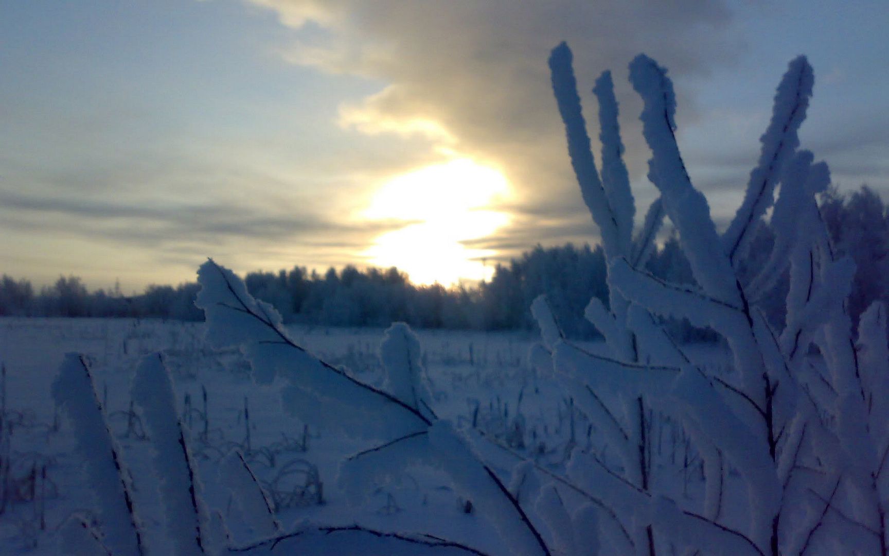 SuperPack_Beautiful_Nature_HD_Wallpapers_Part_19823.jpg